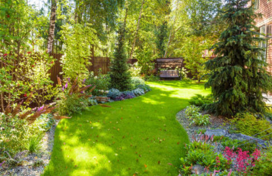 Garden in sunlight