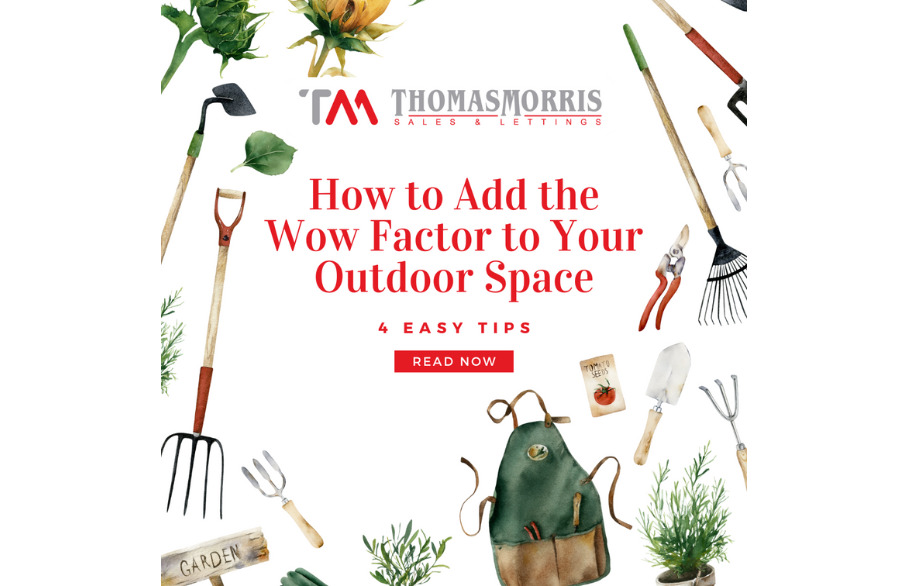 How to add wow factor to your garden space, surrounded by garden tools and plants