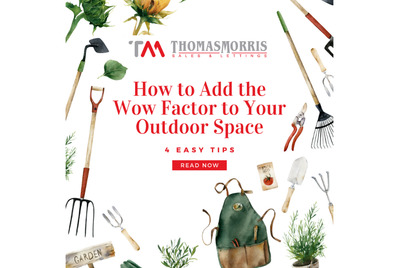 How to add wow factor to your garden space, surrounded by garden tools and plants