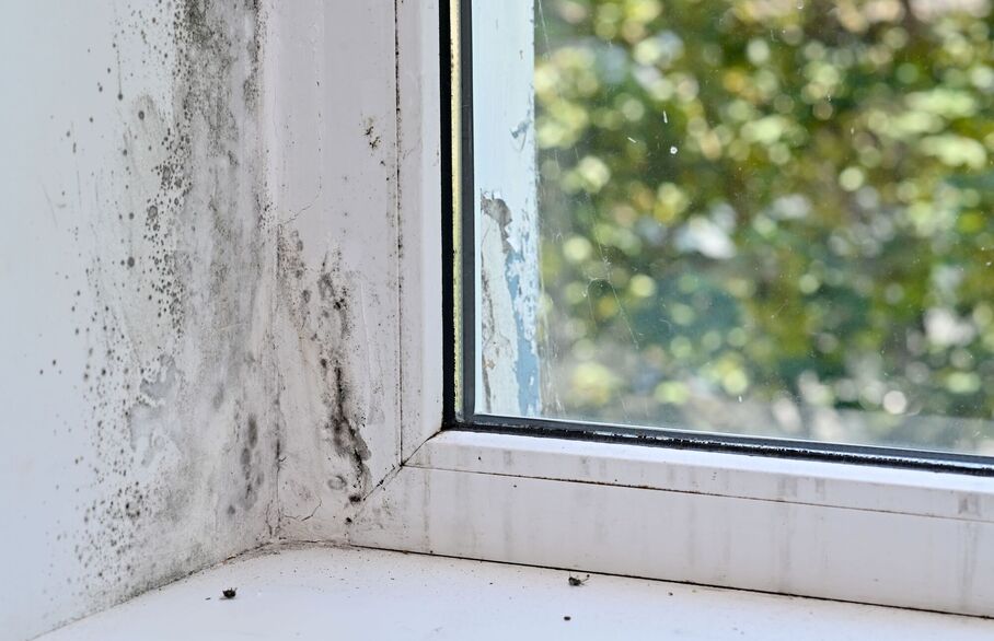 What is Awaab's Law and how can landlords prepare? A guide