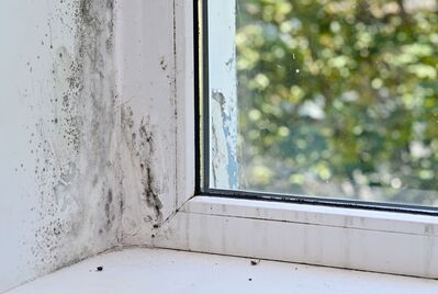 What is Awaab's Law and how can landlords prepare? A guide