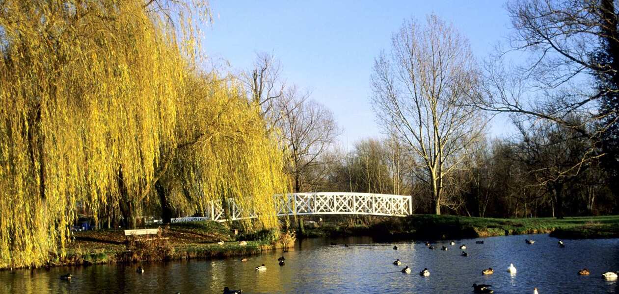 St Neots River Ouse