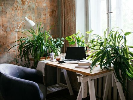 A smart desk surrounded by plants