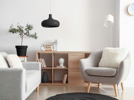 Smart living area in minimalist tidy style